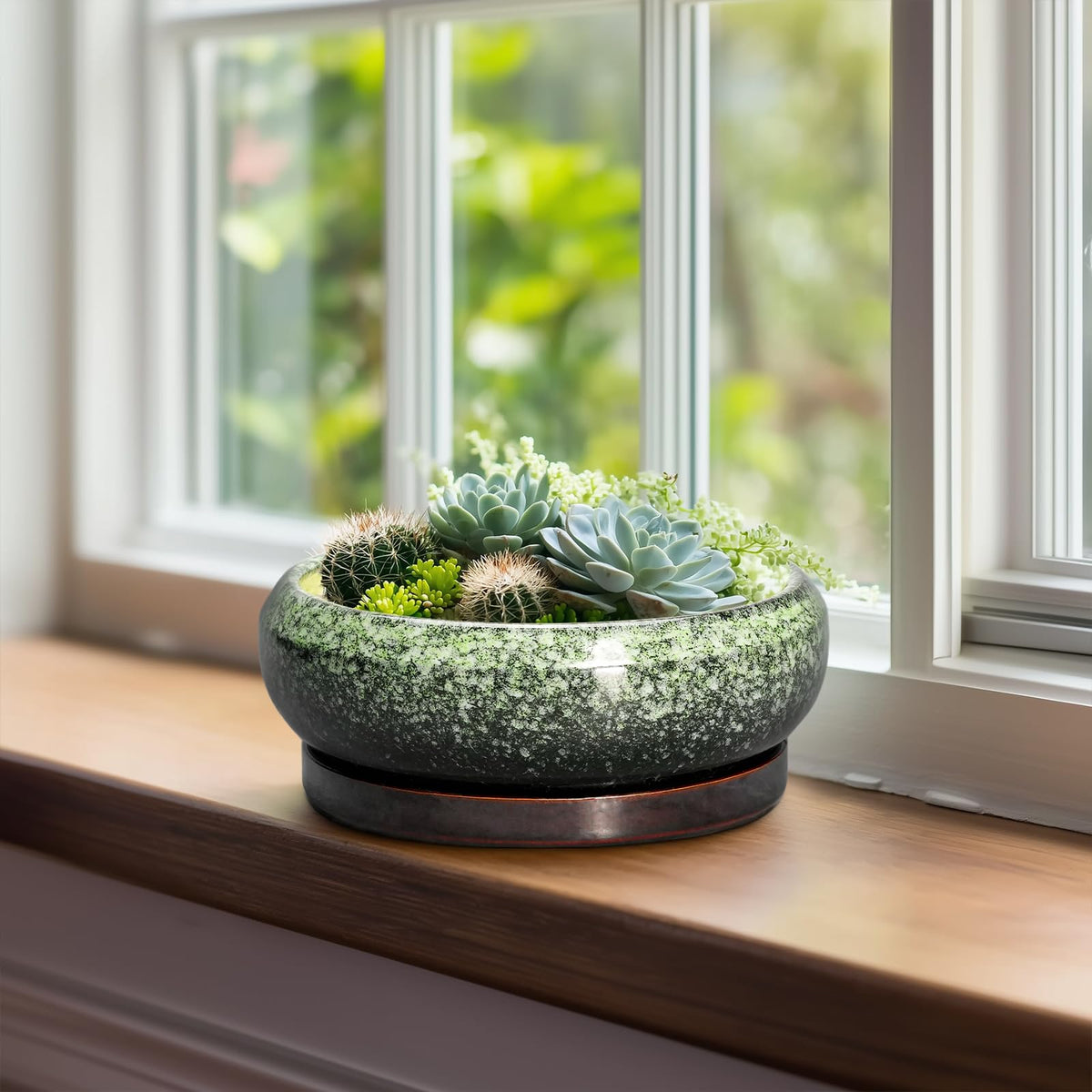EPFamily green bonsai planter with glazed finish for elegant decor.