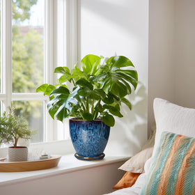 EPFamily blue ceramic pot complements home decor across rooms