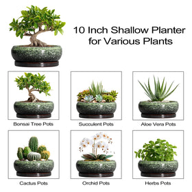 EPFamily Home Decor Planter – versatile decor for office, living room, or balcony.