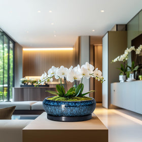 EPFamily indoor-outdoor ceramic pot suited for patios and living spaces