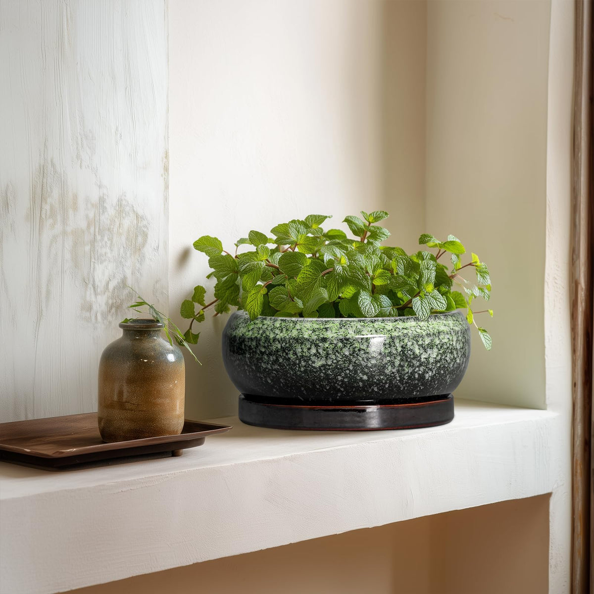 EPFamily indoor-outdoor plant pot designed for a variety of small plants.