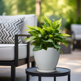 EPFamily indoor plant pot with gray glaze for office and home decor.