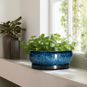 EPFamily blue planter enhances porch decor with versatile style