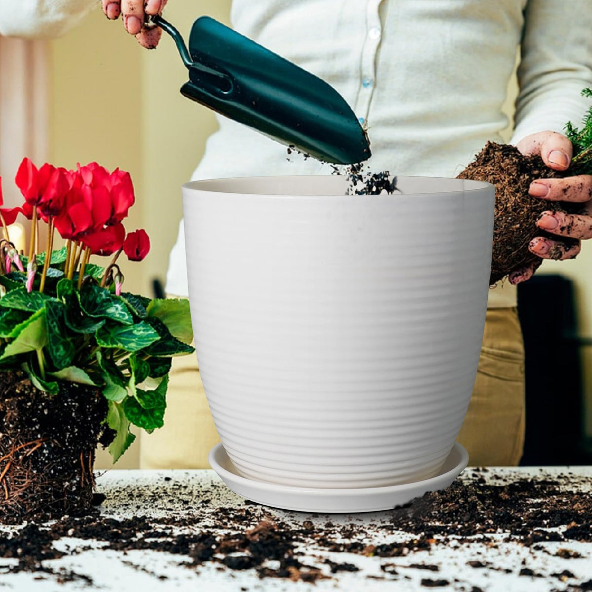 EPFamily planter on indoor shelf for versatile home use.