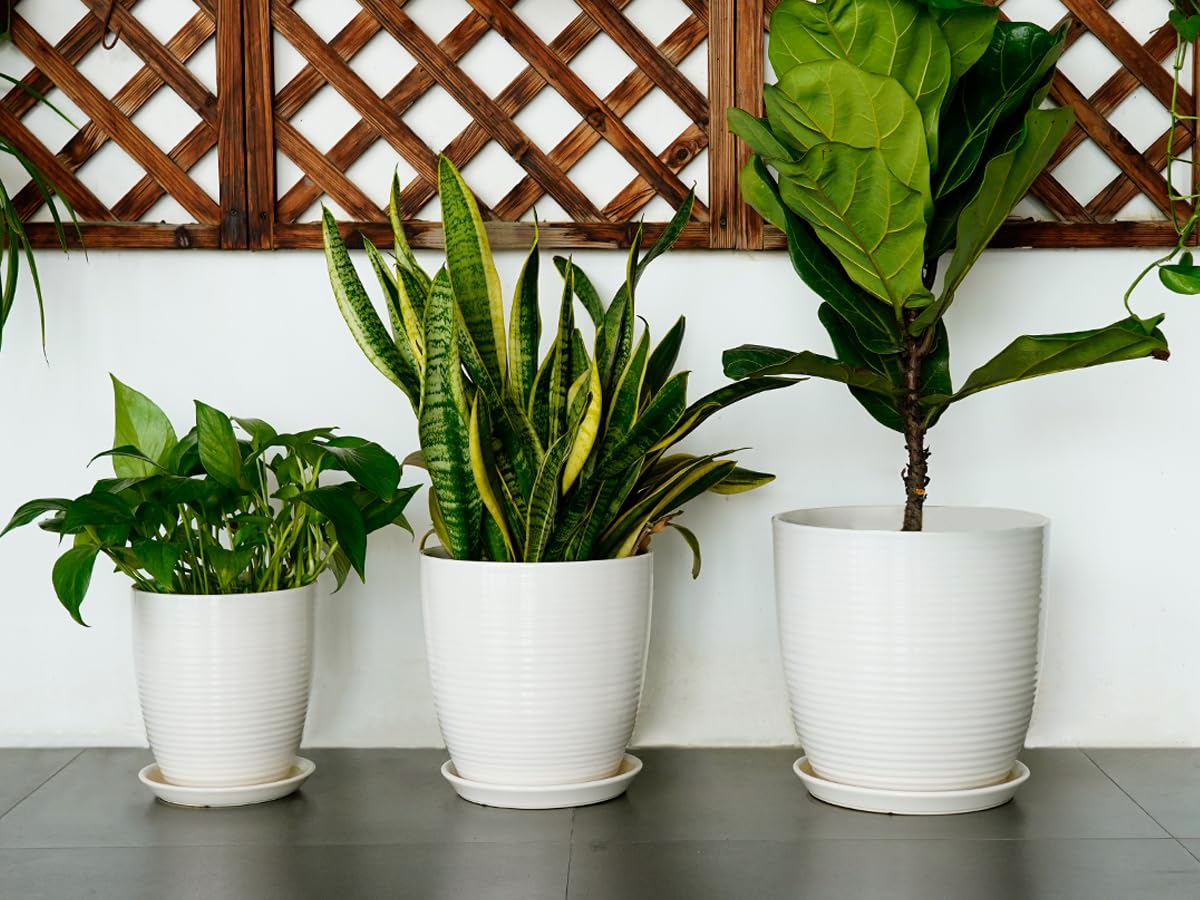 EPFamily removable tray catches drips to protect surfaces.