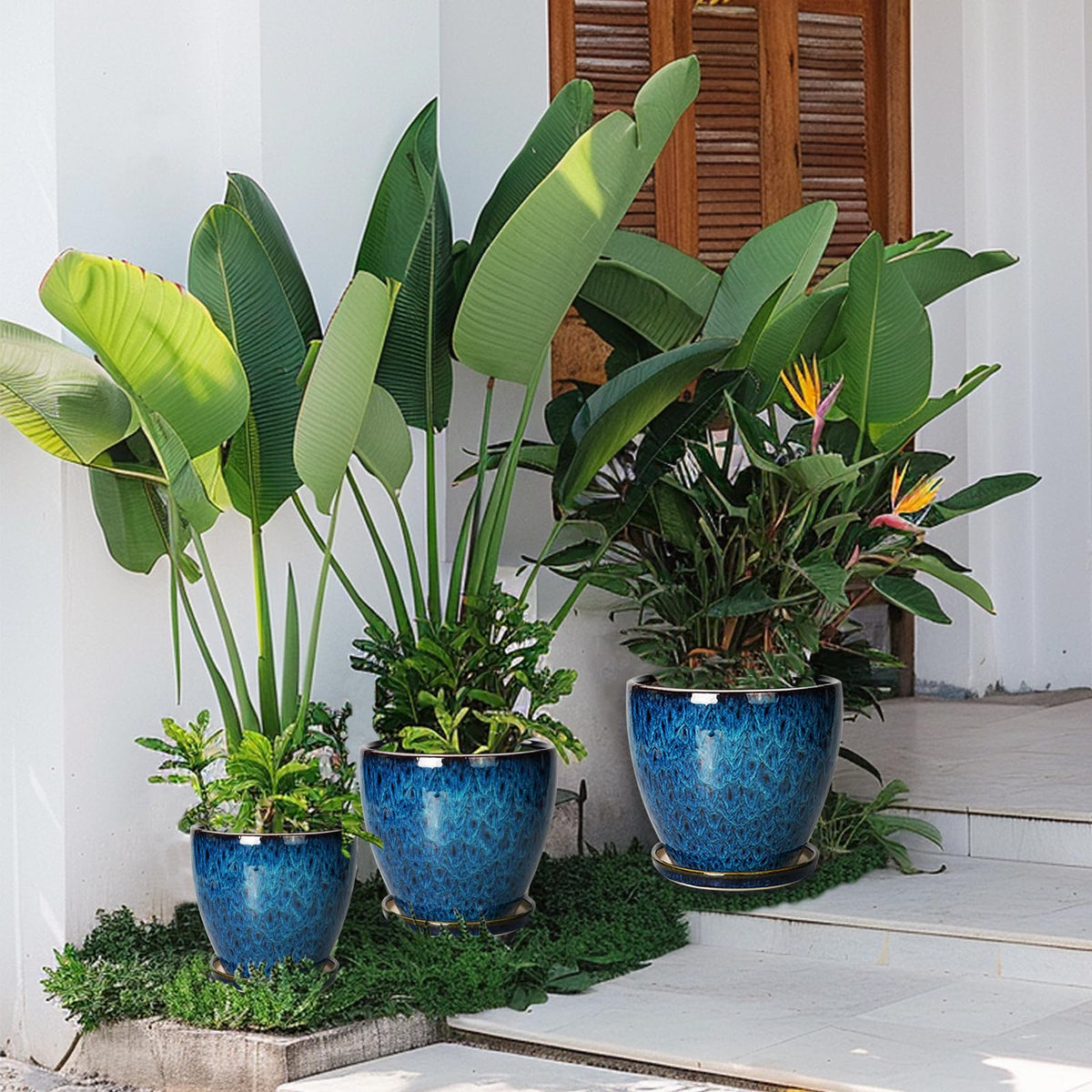EPFamily round blue planter pairs with various plants for versatile decor