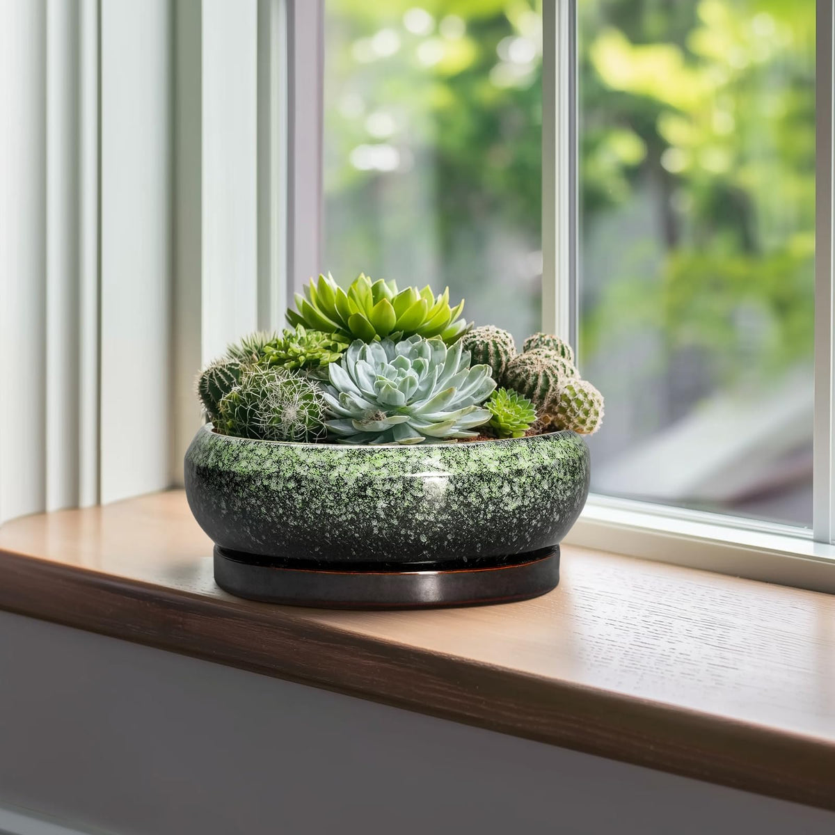 EPFamily Round Shallow Bonsai Pot – wide opening suits bonsai and succulents.