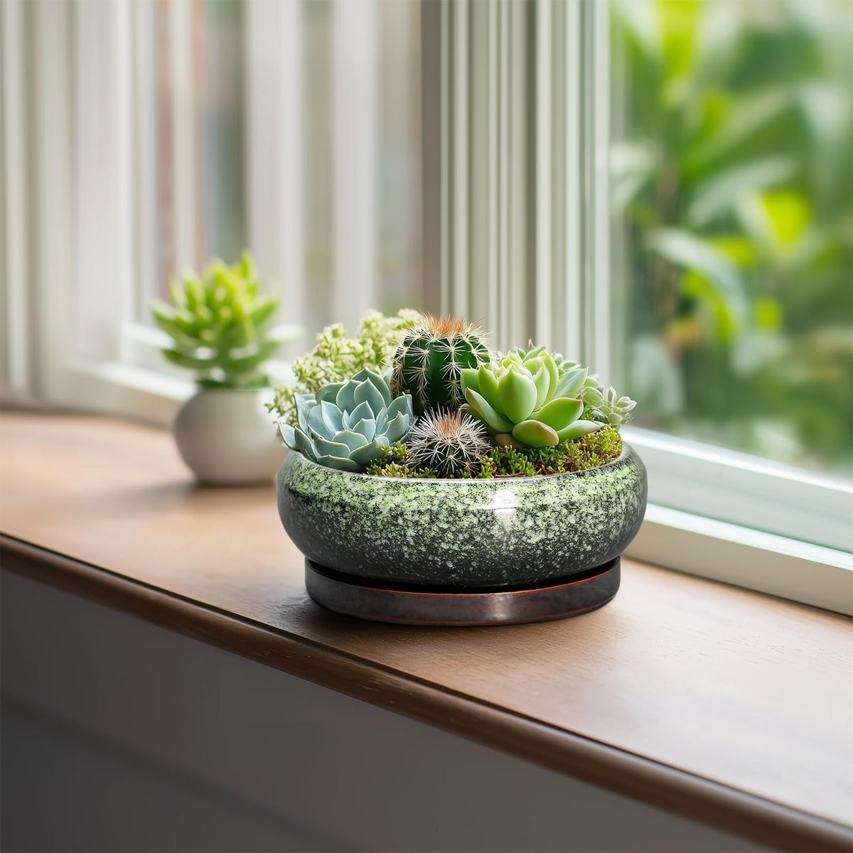 EPFamily 6-inch ceramic saucer paired with pot for neat water management