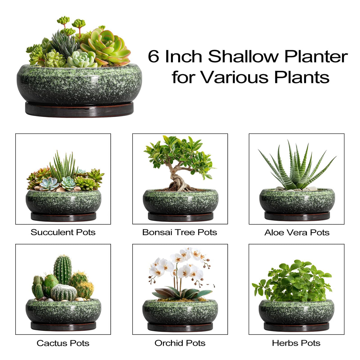 EPFamily 6-inch gift-ready succulent pot for plant lovers