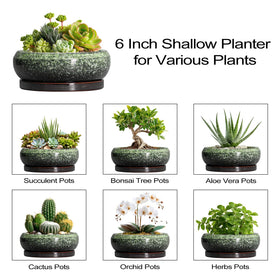 EPFamily 6-inch gift-ready succulent pot for plant lovers