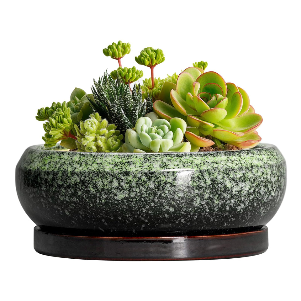 EPFamily 6-inch succulent pot top opening for easy planting and inspection