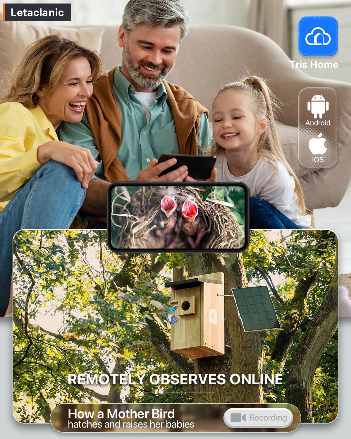 Epfweits Bird House with Camera app notification view signals instant bird visits