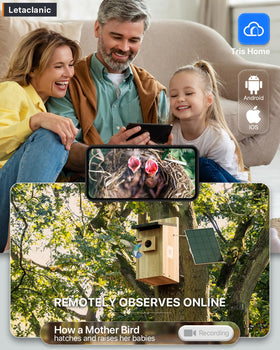 Epfweits Bird House with Camera app notification view signals instant bird visits