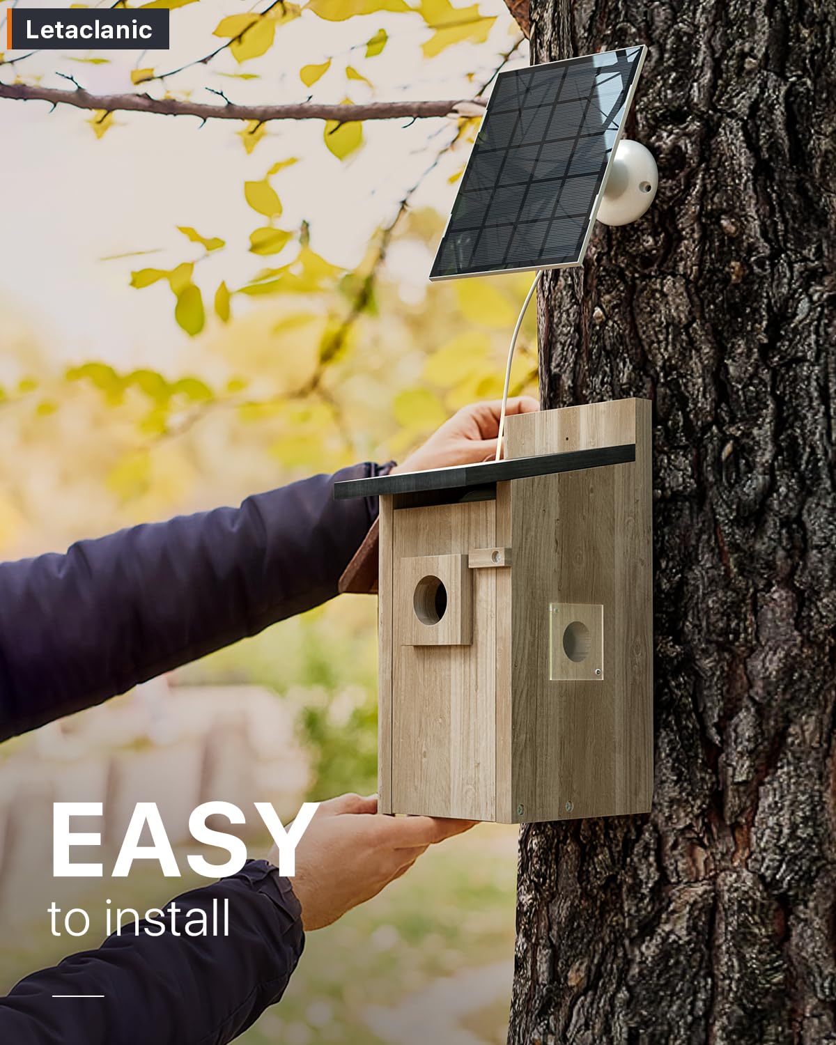 Epfweits Bird House with Camera entry-hole view emphasizes predator-proof safety