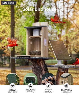 Epfweits Bird House with Camera inside nest view enables real-time nesting observation