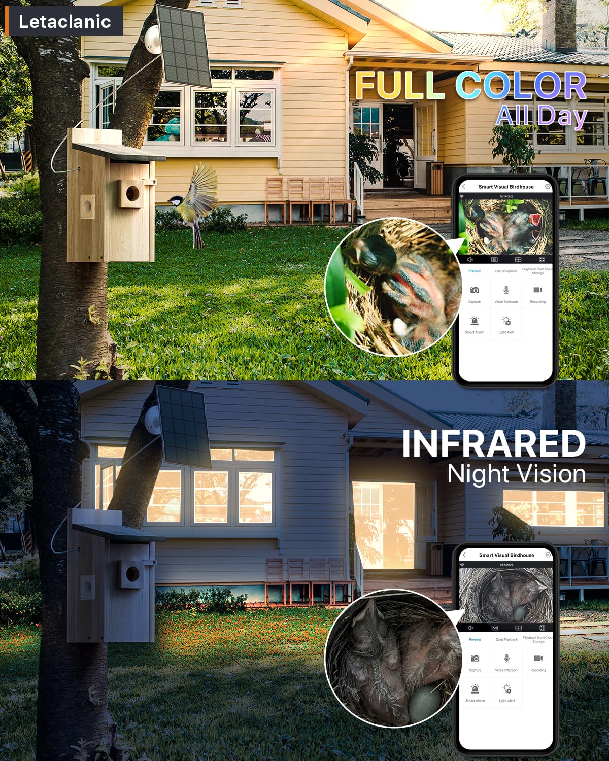 Epfweits Bird House with Camera solar panel view highlights cordless monitoring