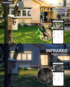 Epfweits Bird House with Camera solar panel view highlights cordless monitoring