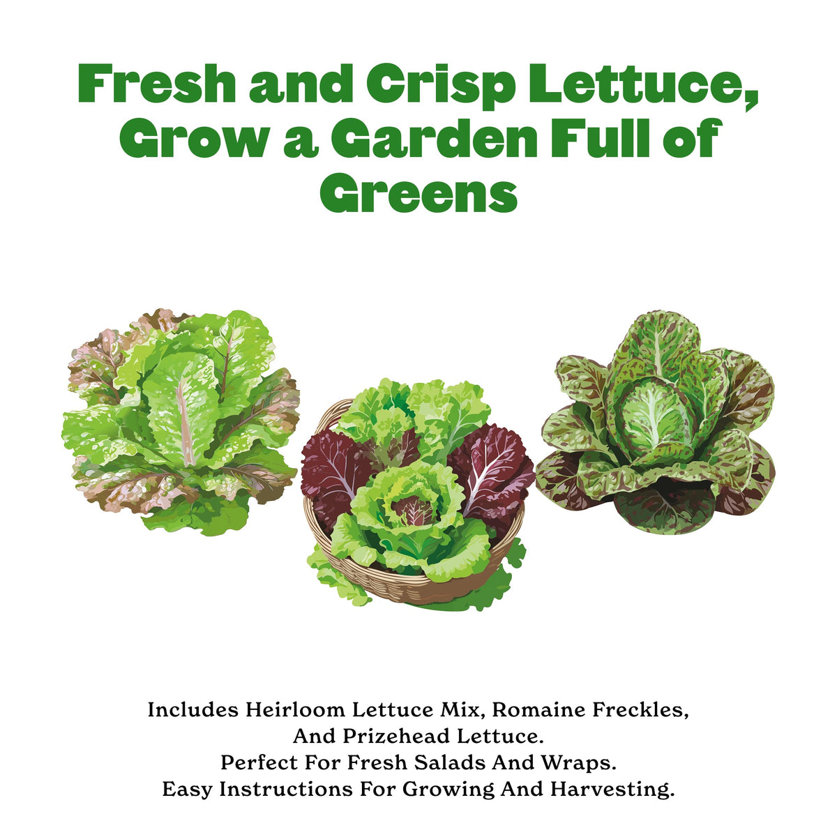 Epic Gardening Freckles Romaine seed packet for crisp leaves