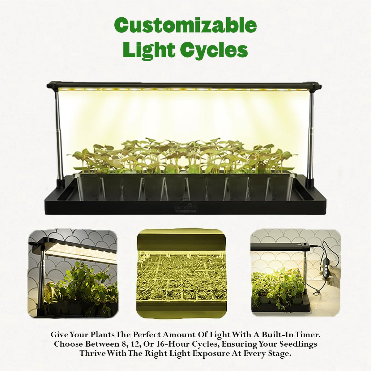 Epic Gardening Grow Light adjustable height demonstrates flexible setup for seedling stages