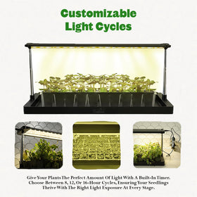 Epic Gardening Grow Light adjustable height demonstrates flexible setup for seedling stages