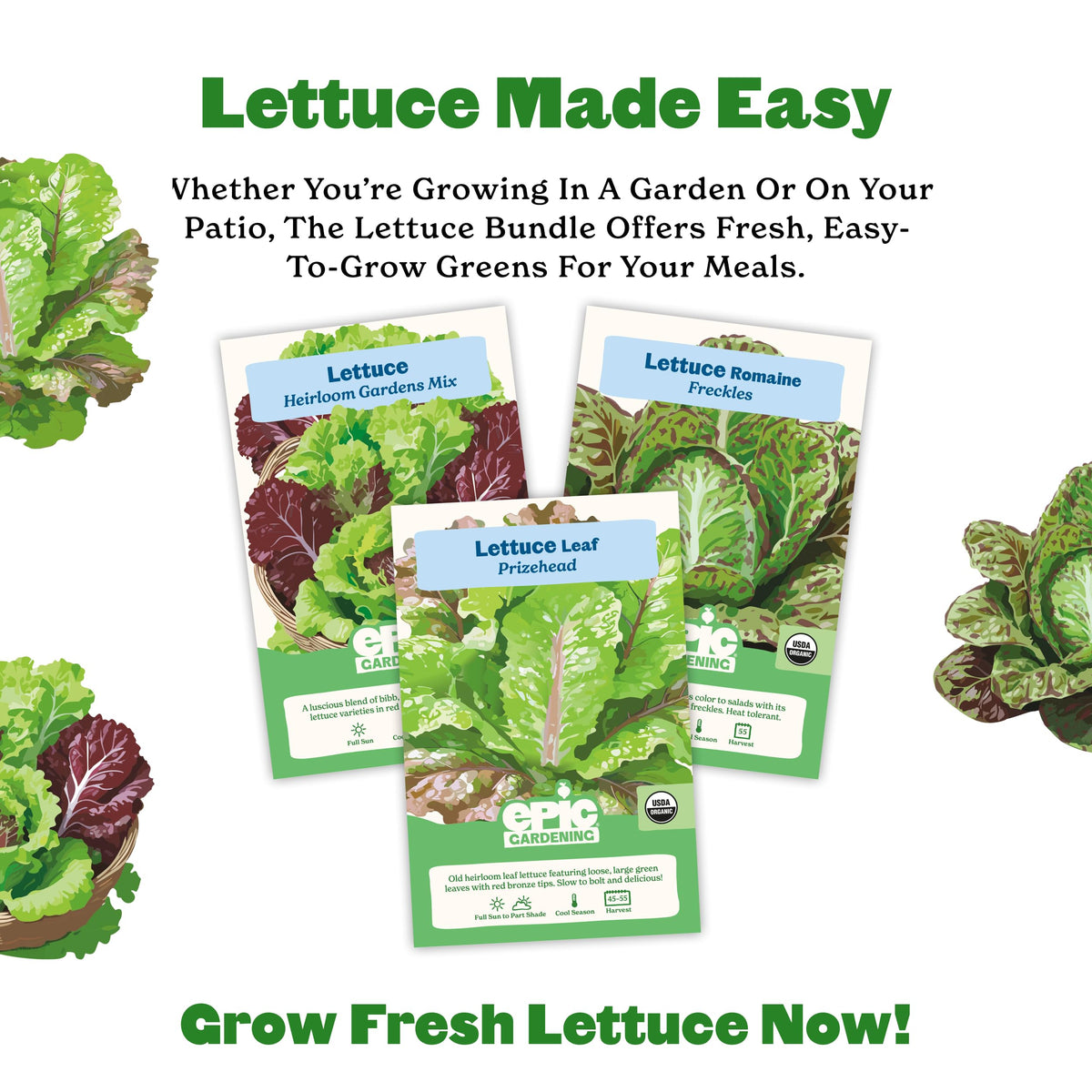 Epic Gardening lettuce harvest in container garden for home meals