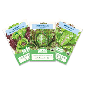 Epic Gardening lettuce seed bundle trio for fresh harvests