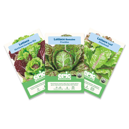 Epic Gardening lettuce seed bundle trio for fresh harvests