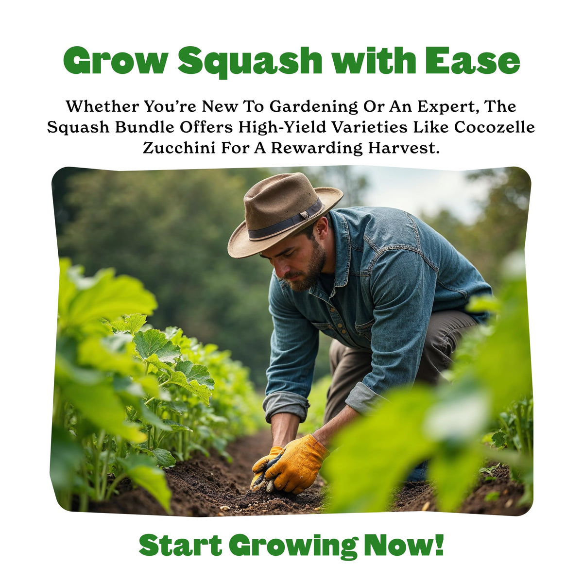 Epic Gardening squash seeds thrive in small spaces like containers.