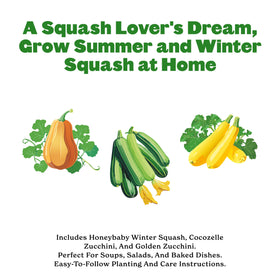 Epic Gardening Cocozelle squash seeds ideal for roasting and fresh summer salads.
