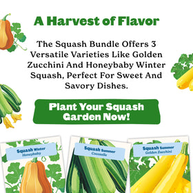 Epic Gardening Honeybaby squash seeds for versatile cooking and quick weeknight meals.