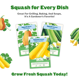Epic Gardening seed packets include clear planting instructions for beginners.