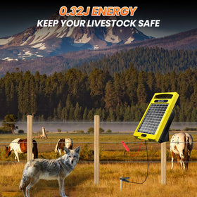 Epoify high voltage output energizes a long fence line for deterrence