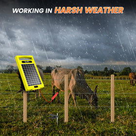 Epoify livestock protection with solar charging and long-lasting power