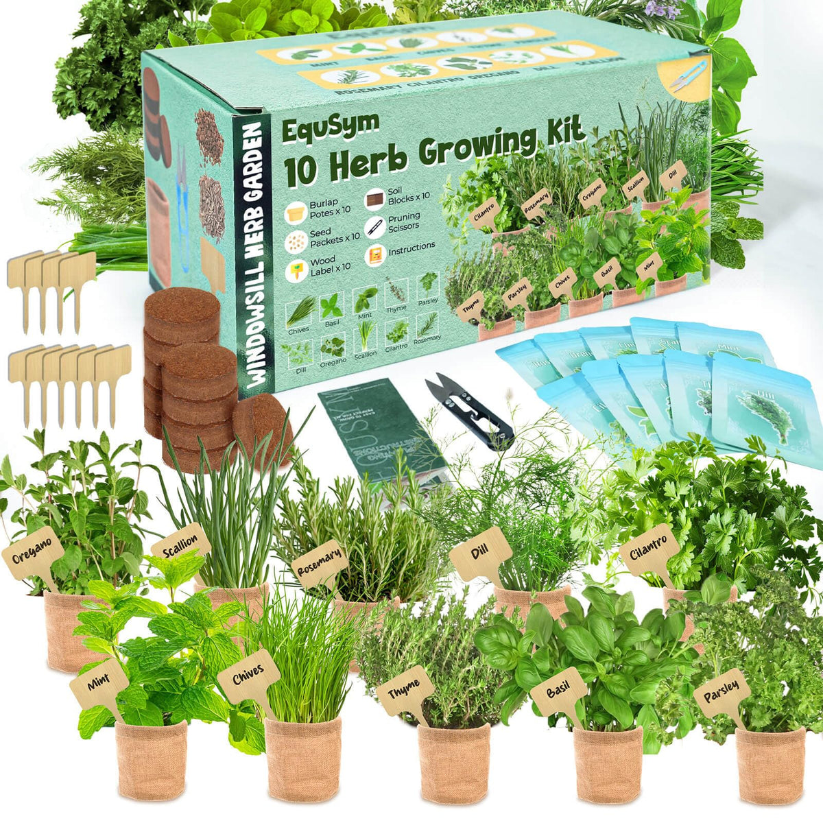 EquSym 10-herbs window kit setup for indoor gardening and fresh flavor