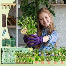 EquSym 10 pots with soil blocks enabling tidy beginner-friendly growth