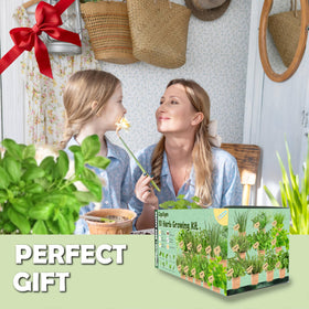 EquSym gift-ready herb garden kit for foodie friends and plant lovers