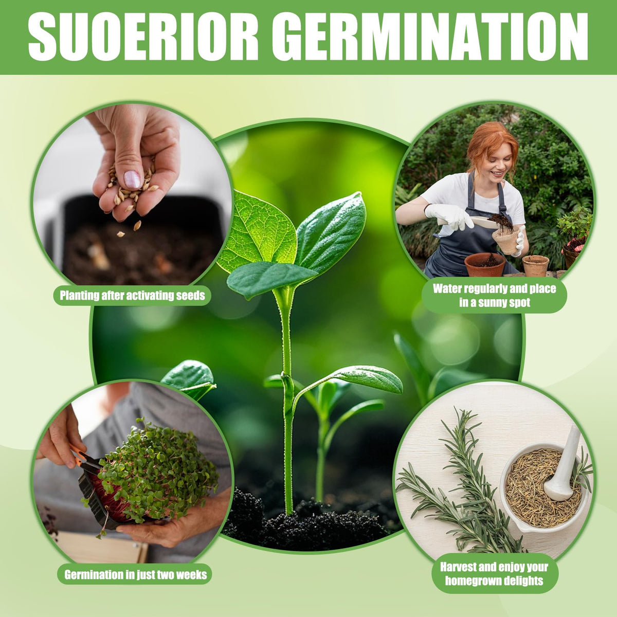 EquSym step-by-step growing guide simplifies planting and care
