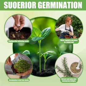 EquSym step-by-step growing guide simplifies planting and care