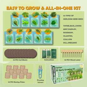 EquSym vacuum-sealed herb seeds packaging preserves freshness for high germination