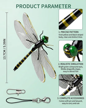 Equely Dragonfly Clips with emerald eyes and vivid wings brighten outdoor scenes.
