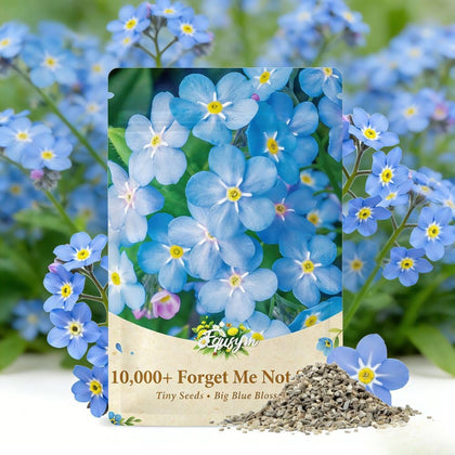 EquSym Forget-Me-Not seeds pack close-up for easy gardening and planning