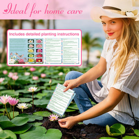EquSym gift-pack lotus seeds ideal for nature lovers and garden enthusiasts