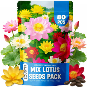 EquSym lotus seeds color mix for vibrant water garden colors