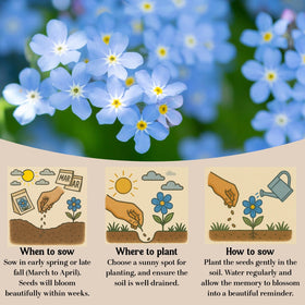 EquSym outdoor garden display enhances memorial moments at celebrations and remembrance rituals.