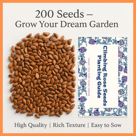 EquSym rose seeds with high germination rate for strong initial growth.