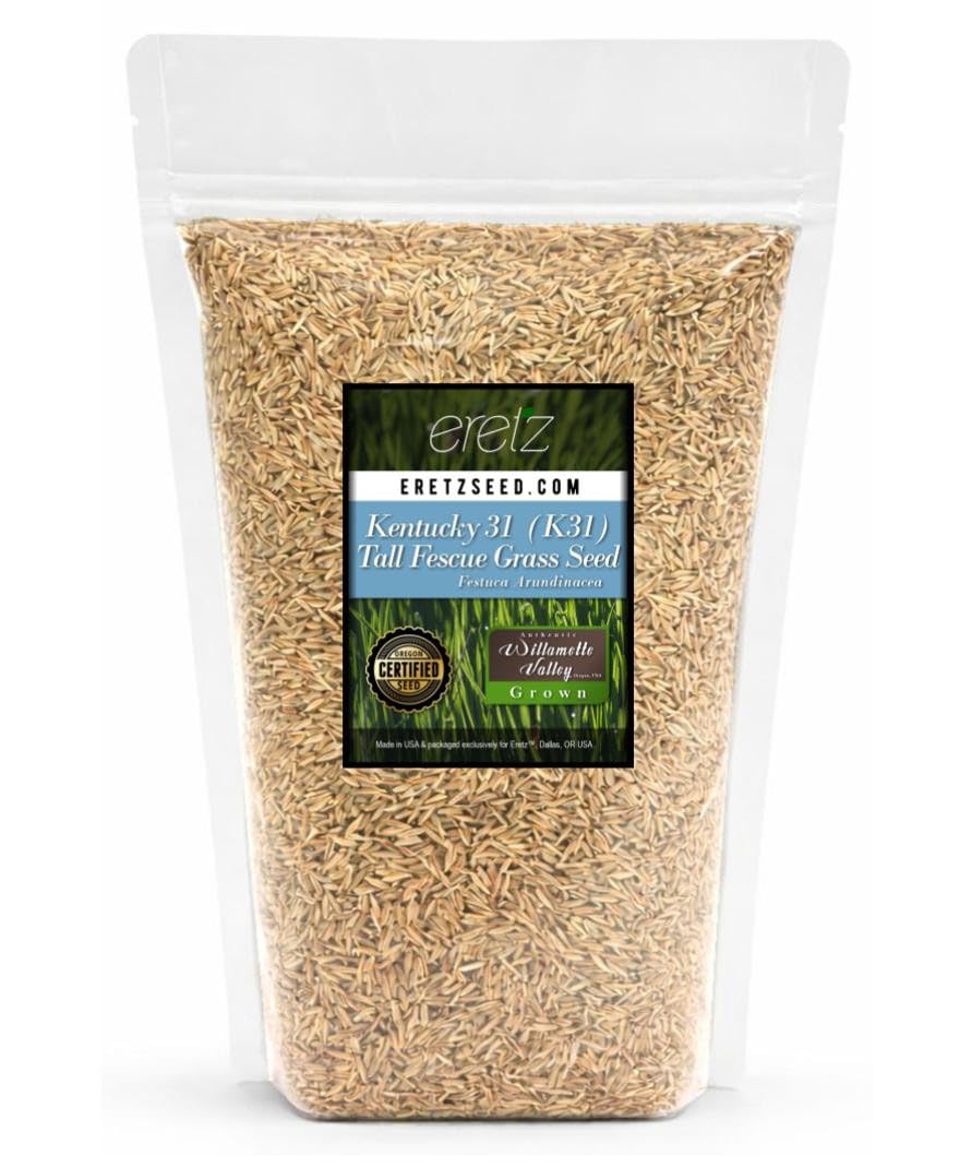 Eretz Kentucky 31 K31 tall fescue seed in 1lb bag for durable turf