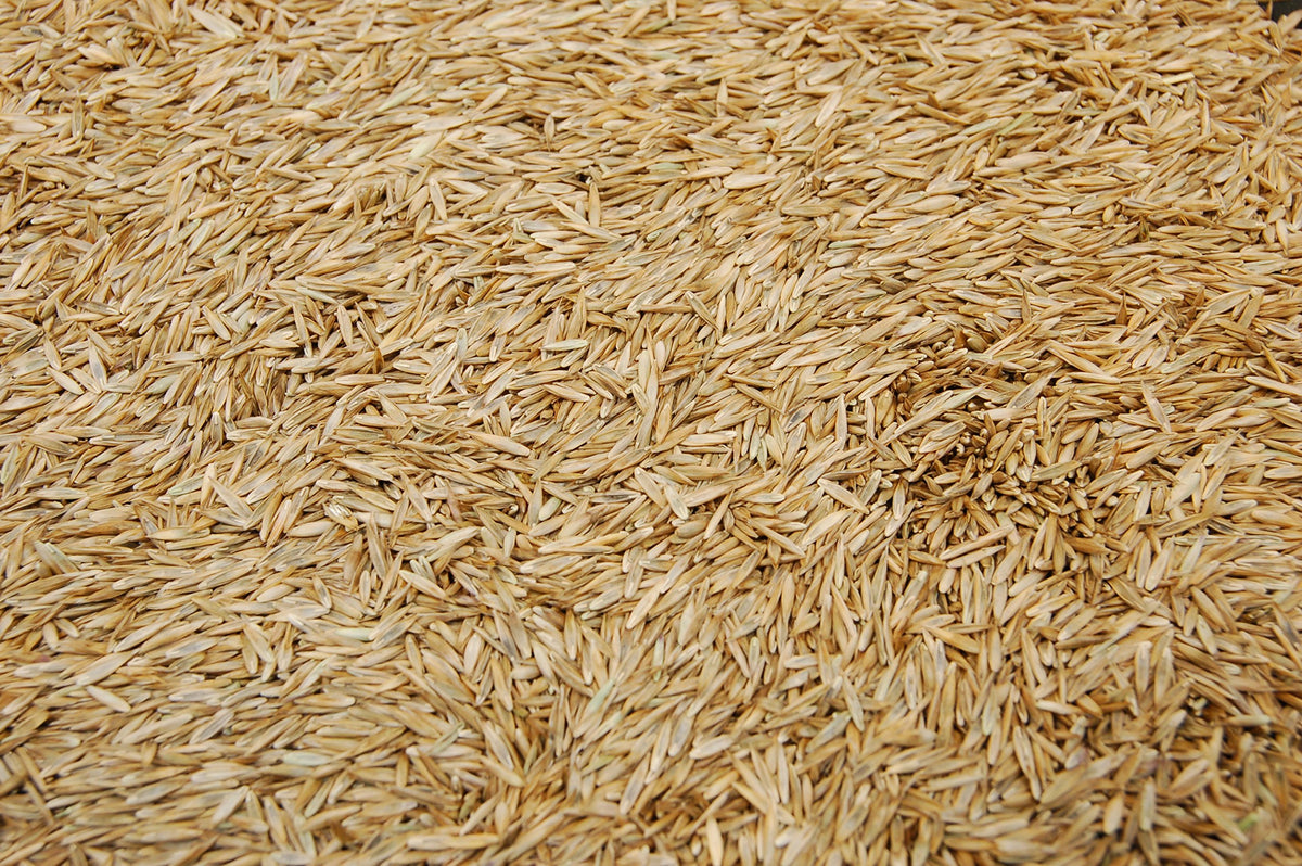 Eretz K31 seed label emphasizes no fillers and weed-free seed for clean germination