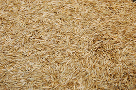 Eretz K31 seed label emphasizes no fillers and weed-free seed for clean germination