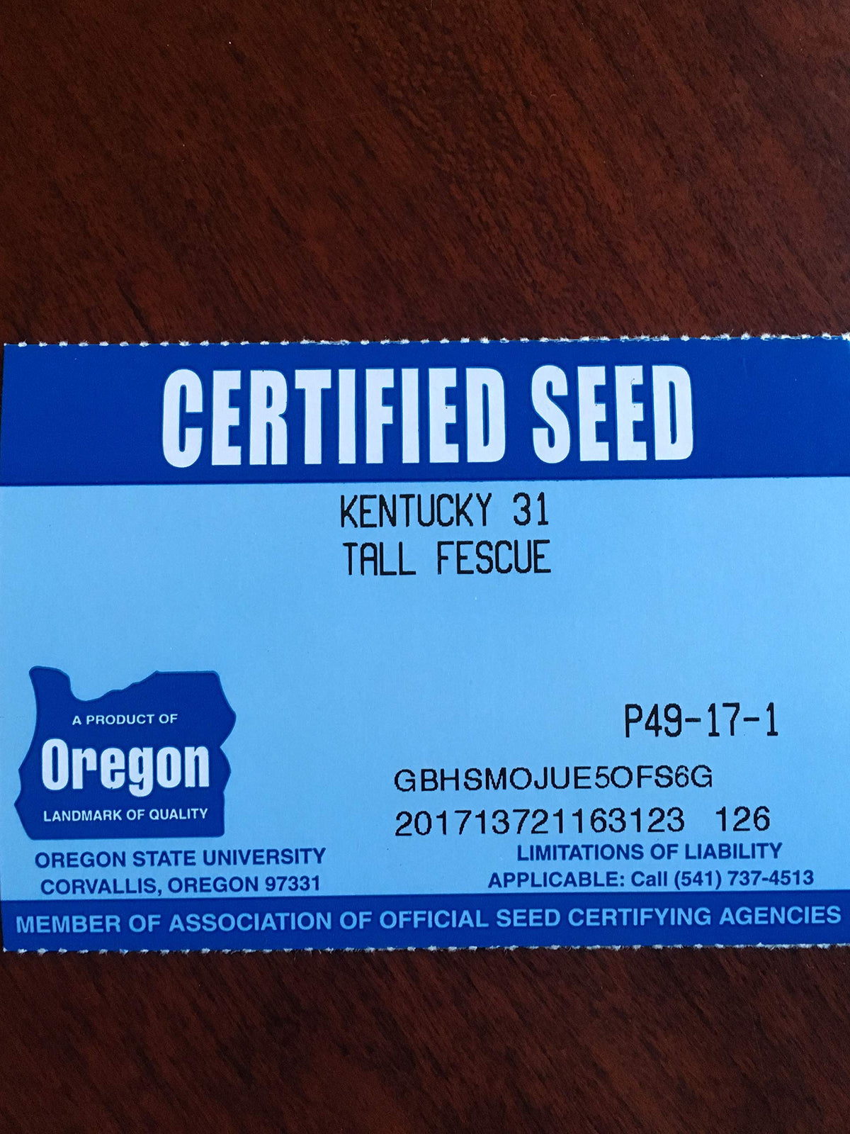 Ready-to-plant tall fescue for pastures and lawns