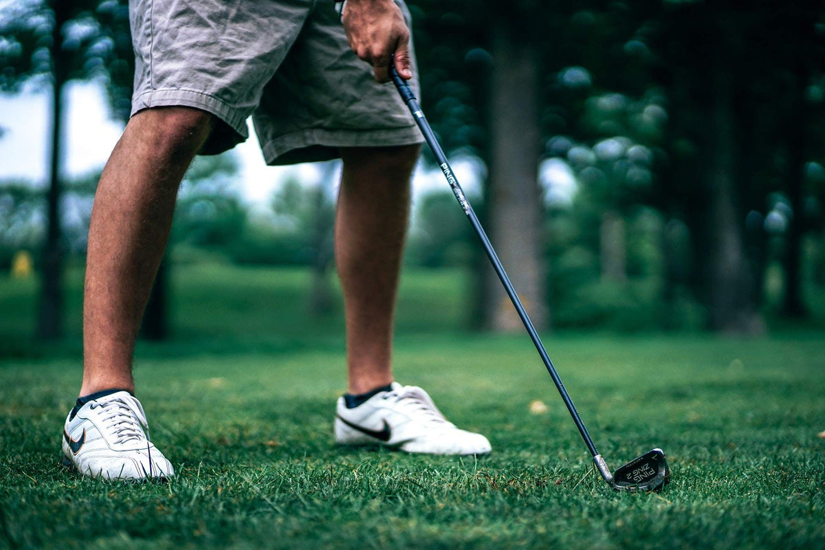 Fast-germinating ryegrass supports quick lawn establishment and dense texture
